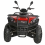 Quads/ATV's - Quad/ATV 300cc Pioneer EEC  - 300cc - 205